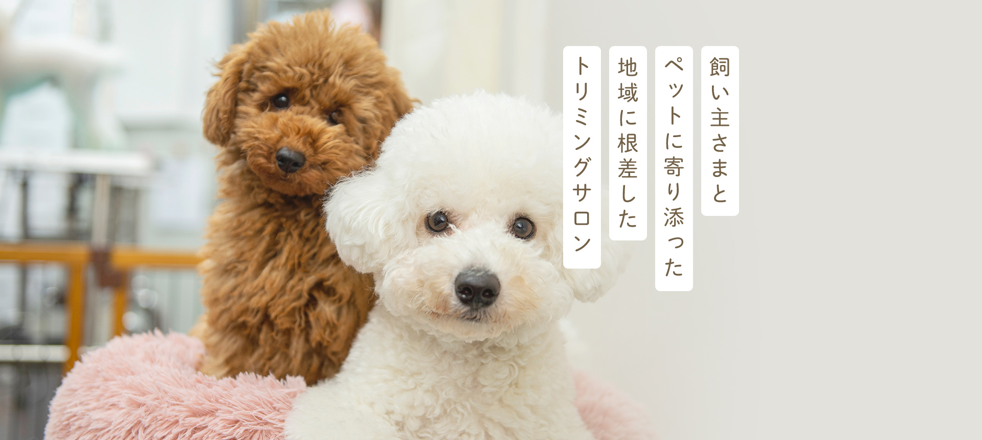 飼い主さまとペットに寄り添った地域に根差したトリミングサロン
