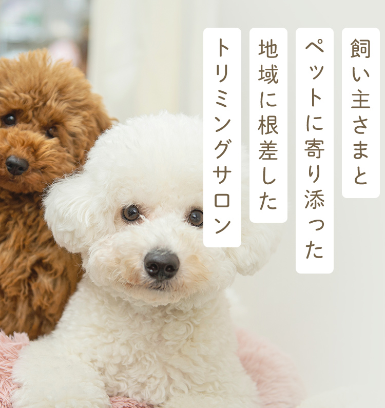飼い主さまとペットに寄り添った地域に根差したトリミングサロン